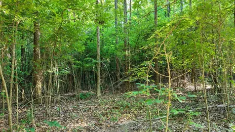 1 Harrell Drive Arlington TN 38002
