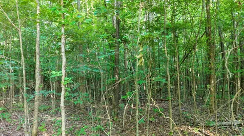 1 Harrell Drive Arlington TN 38002