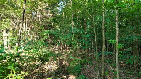 1 Harrell Drive Arlington TN 38002