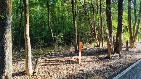 1 Harrell Drive Arlington TN 38002