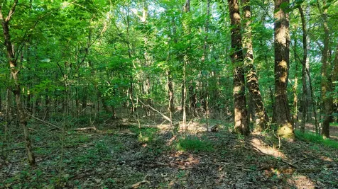 0 Harrell Drive Arlington TN 38002