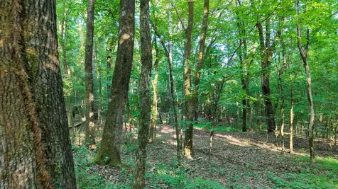 0 Harrell Drive Arlington TN 38002