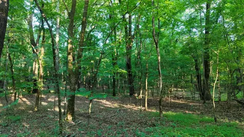 0 Harrell Drive Arlington TN 38002
