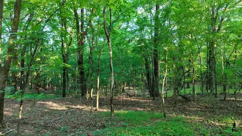 0 Harrell Drive Arlington TN 38002
