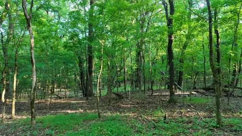 0 Harrell Drive Arlington TN 38002