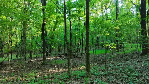 0 Harrell Drive Arlington TN 38002