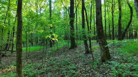 0 Harrell Drive Arlington TN 38002