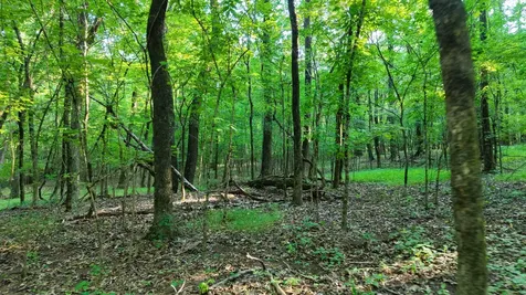 0 Harrell Drive Arlington TN 38002