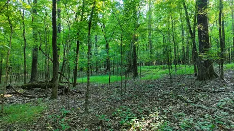 0 Harrell Drive Arlington TN 38002