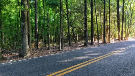 0 Harrell Drive Arlington TN 38002
