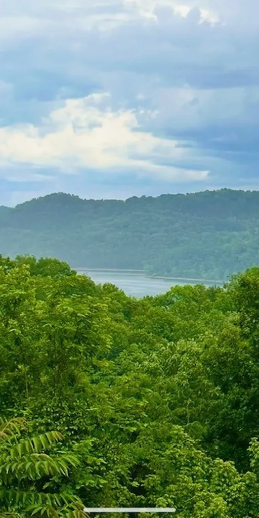 1038 Lakeside Drive Smithville TN 37166