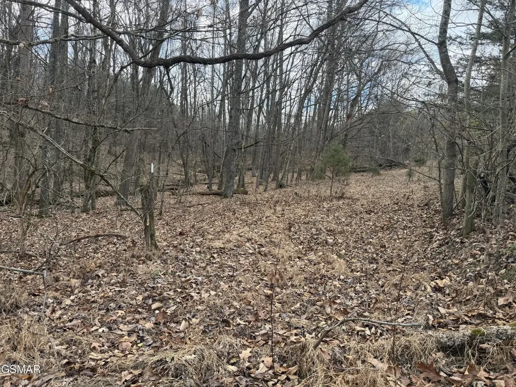 4 Pilgrim Road Dandridge TN 37725