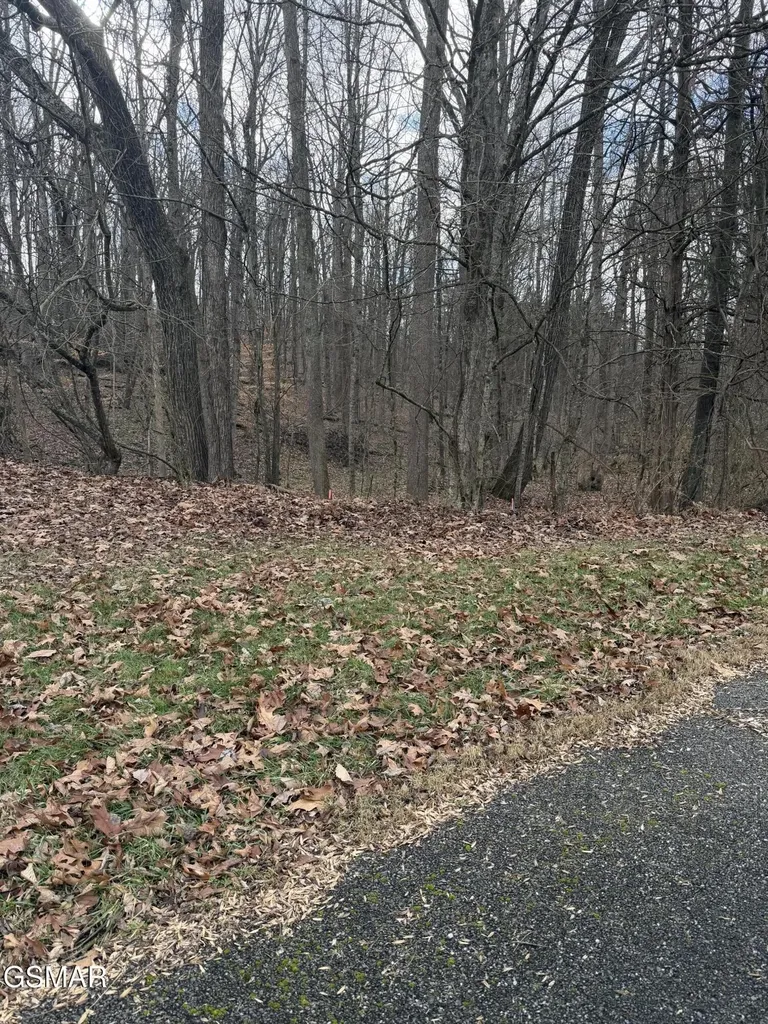 4 Pilgrim Road Dandridge TN 37725