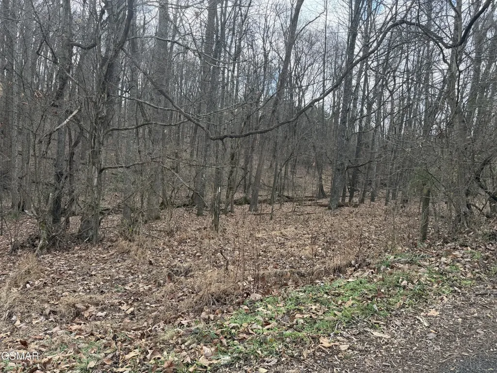 4 Pilgrim Road Dandridge TN 37725