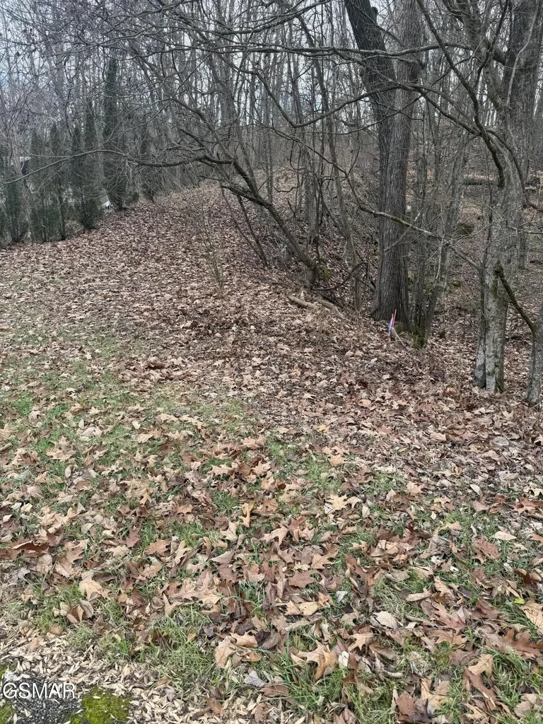 4 Pilgrim Road Dandridge TN 37725