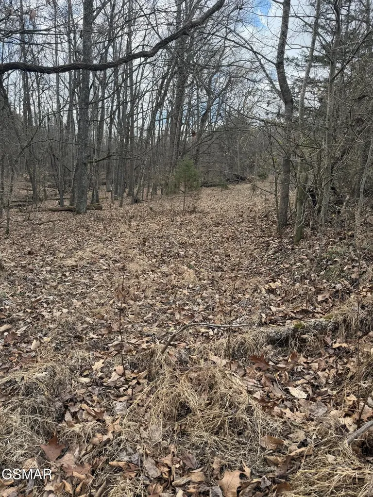4 Pilgrim Road Dandridge TN 37725