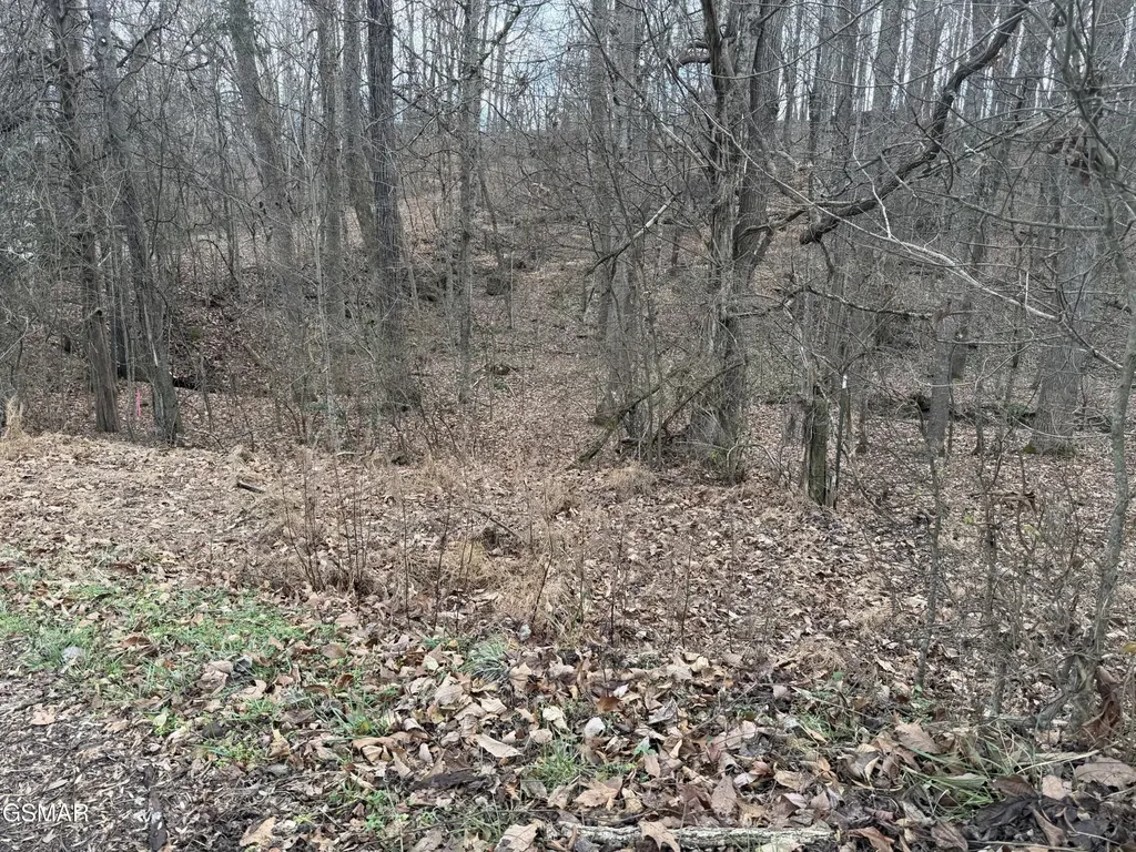 4 Pilgrim Road Dandridge TN 37725