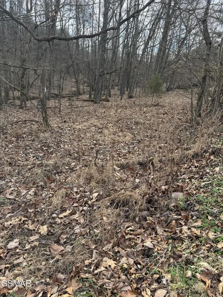 4 Pilgrim Road Dandridge TN 37725