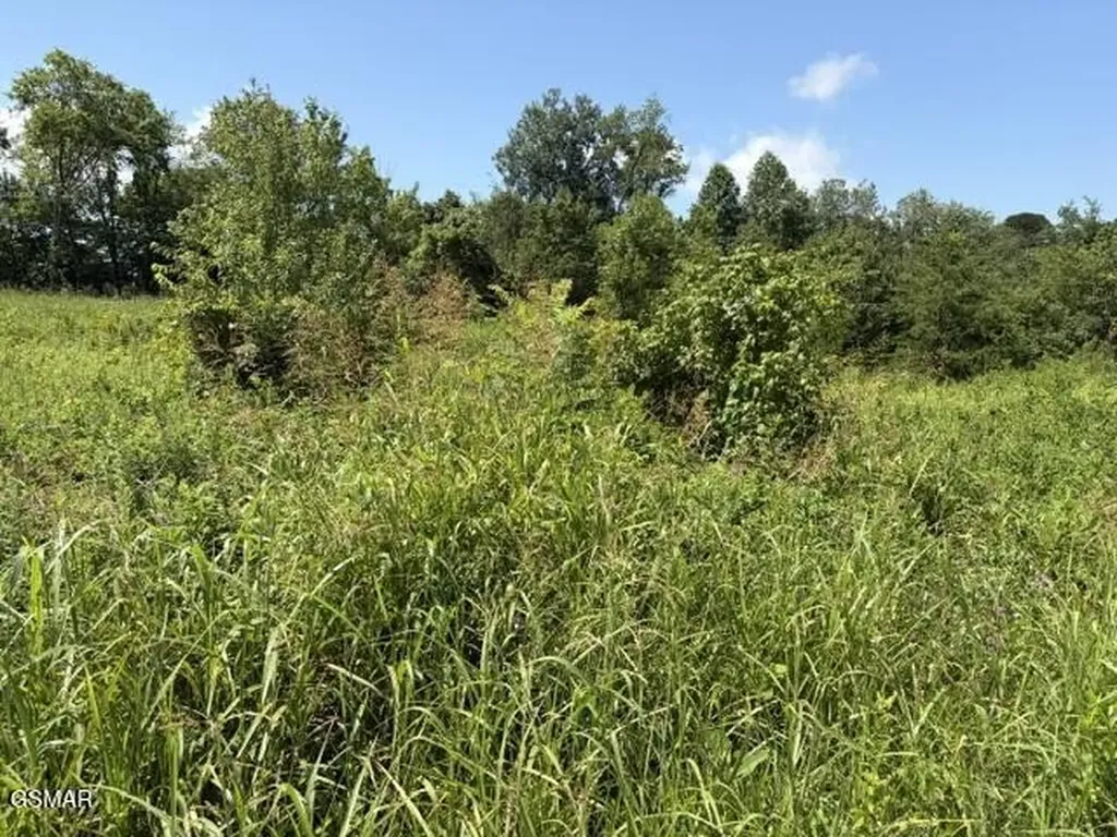615 Green Hill Road Dandridge TN 37725