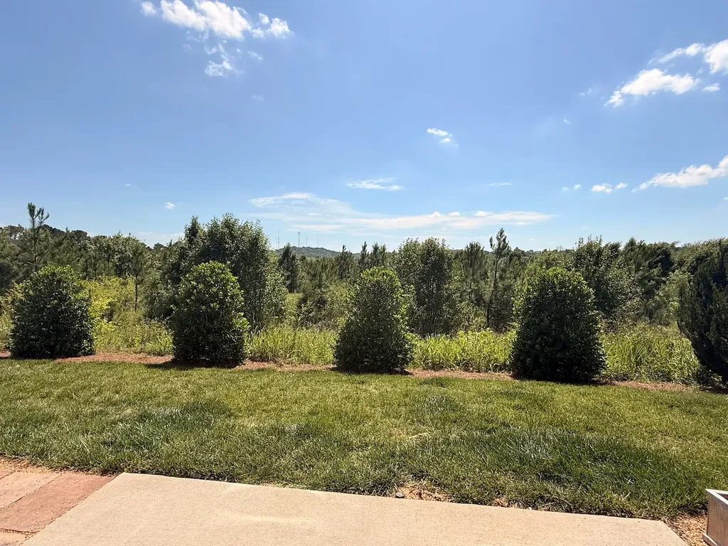 361 Coleman Court Columbia TN 38401
