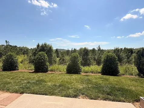 361 Coleman Court Columbia TN 38401