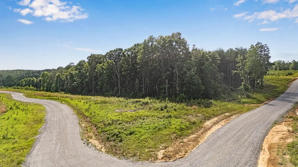 0 Saddleback Road Dunlap TN 37327