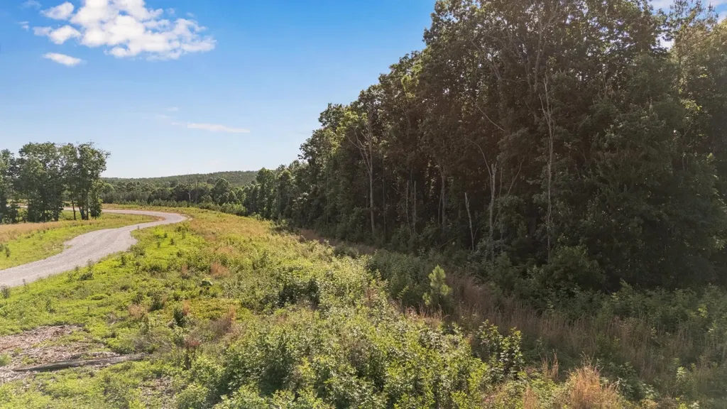 0 Saddleback Road Dunlap TN 37327