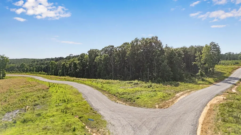 0 Saddleback Road Dunlap TN 37327