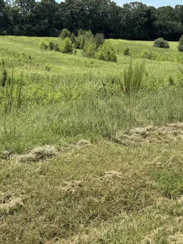 0 Honey Lane Estill Springs TN 37330