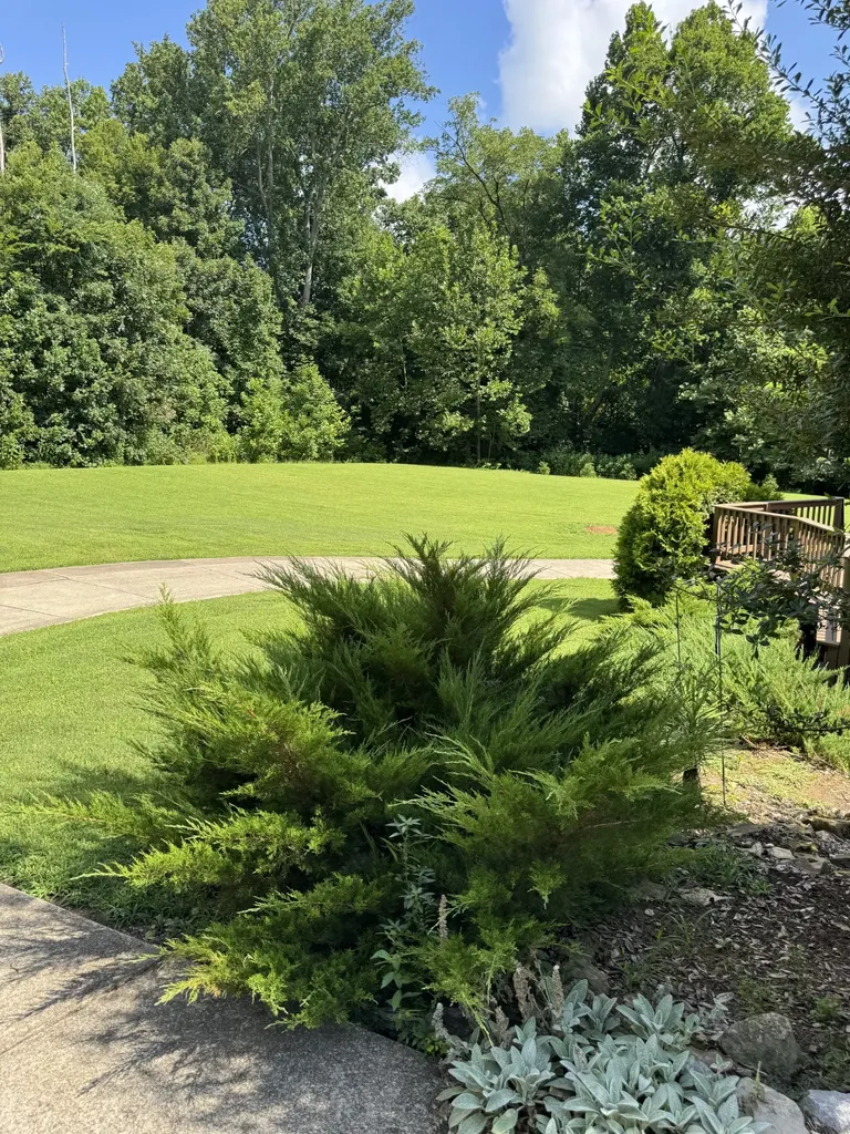 1660 Adswood Road Clarksville TN 37042
