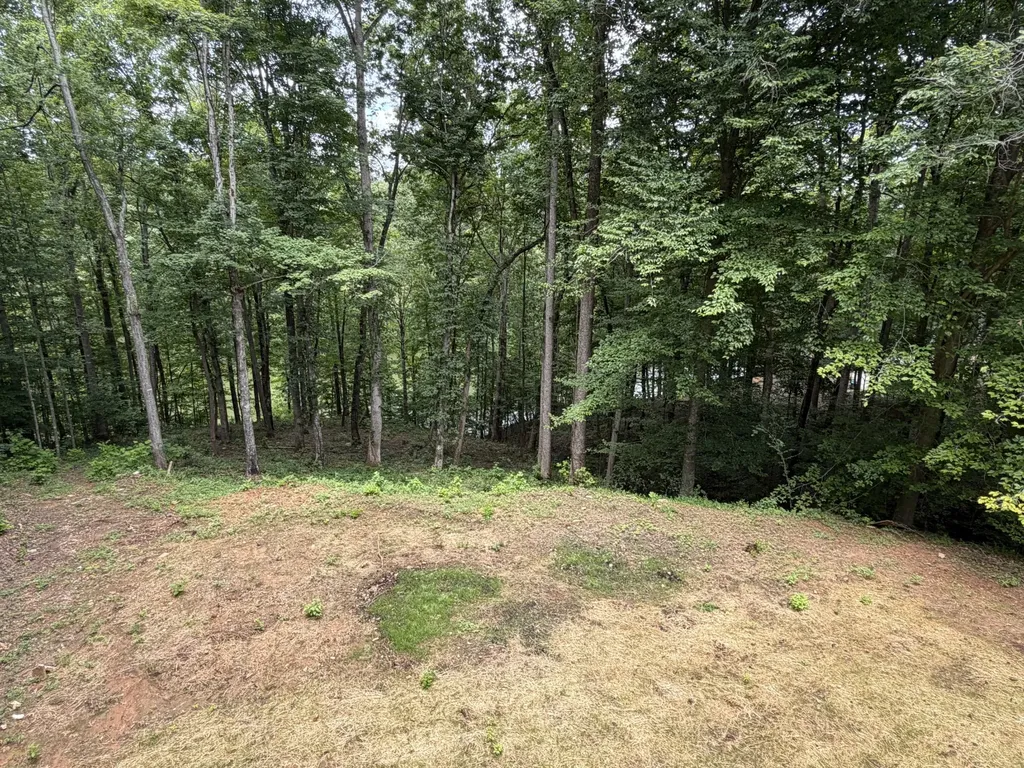 267 Collins River Drive Rock Island TN 38581