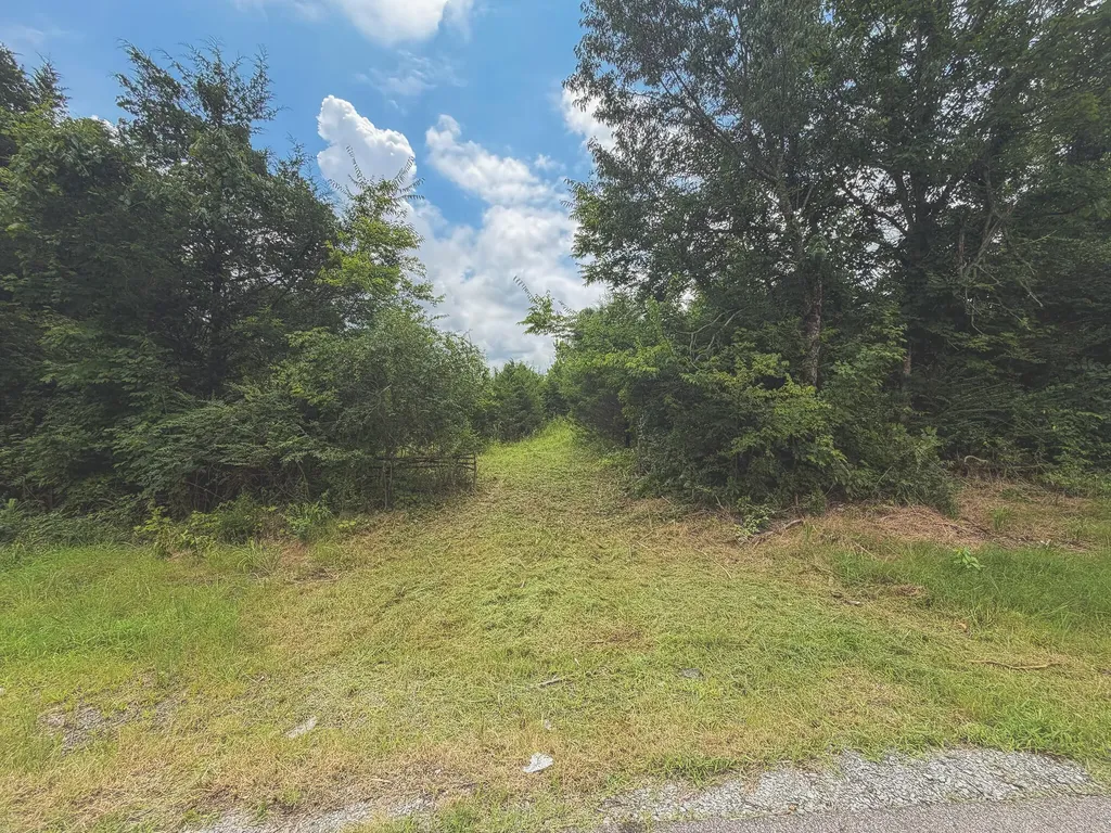 0 Shelbyville Highway Fayetteville TN 37334