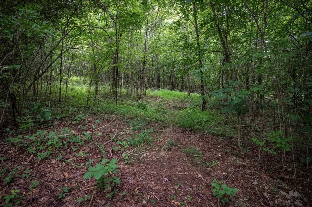 0 New Center Church Road Shelbyville TN 37160