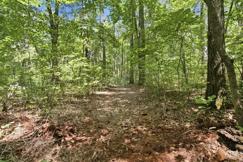 0 Indian Trail Circle Nunnelly TN 37137