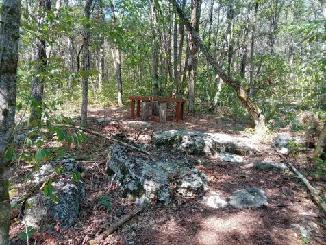 0 Davis Lane Cowan TN 37318