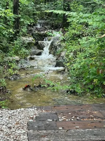 0 Davis Lane Cowan TN 37318