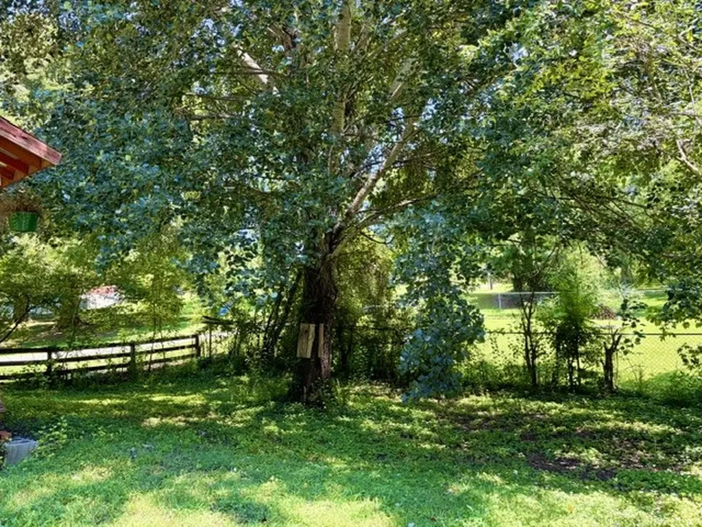 306 Stagecoach Road White Bluff TN 37187