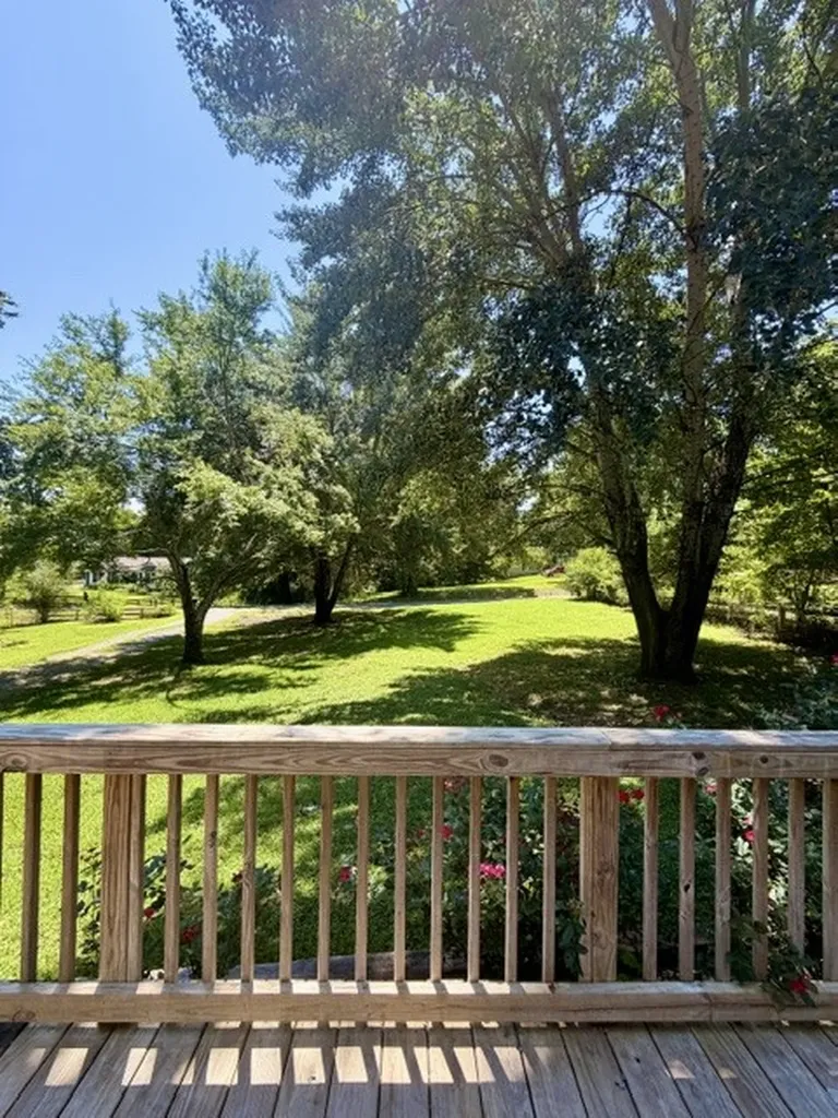 306 Stagecoach Road White Bluff TN 37187