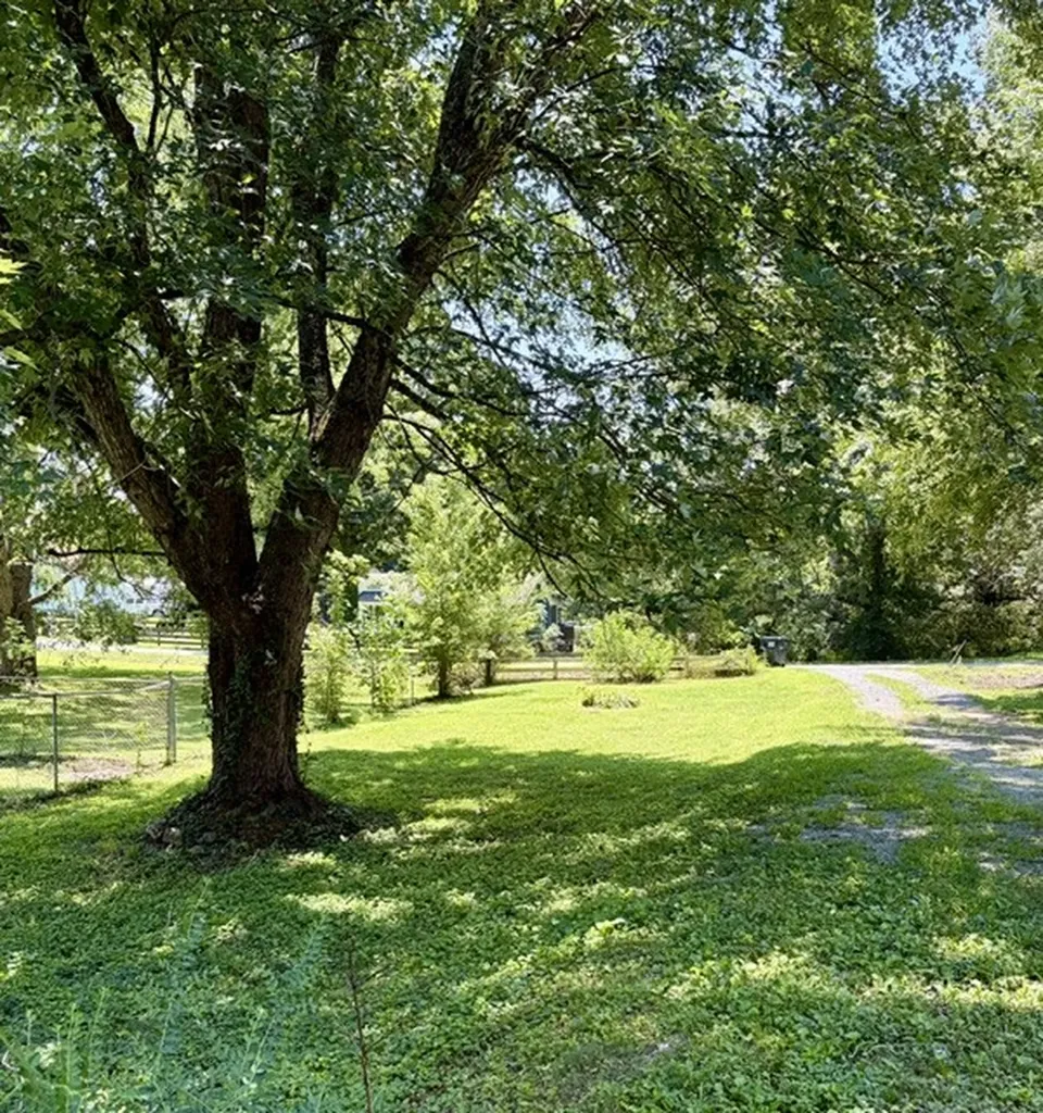 306 Stagecoach Road White Bluff TN 37187