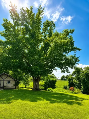 361 Hawkins Road Westmoreland TN 37186