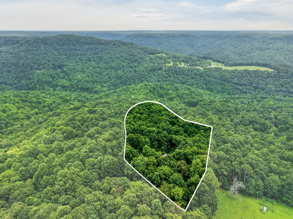2946 Pen Hook Road Monterey TN 38574
