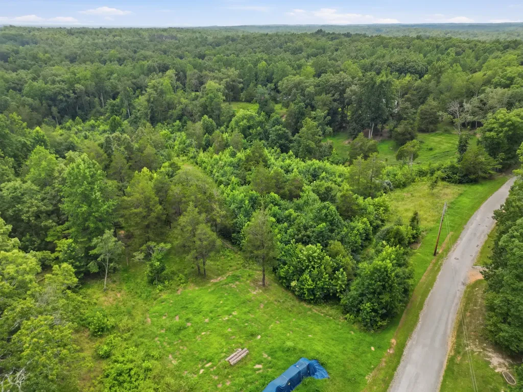 20151 Ben Fly Road Lyles TN 37098