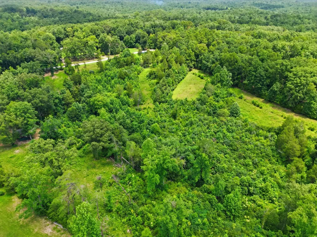 20151 Ben Fly Road Lyles TN 37098
