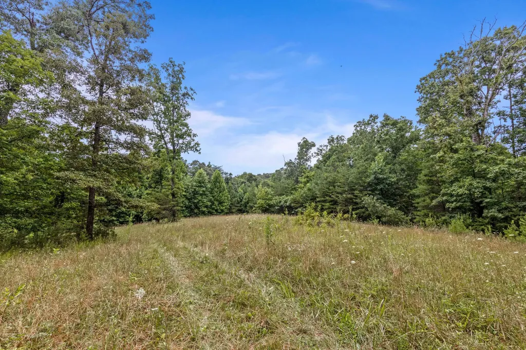 7055 Mooneyham Lonewood Road Spencer TN 38585