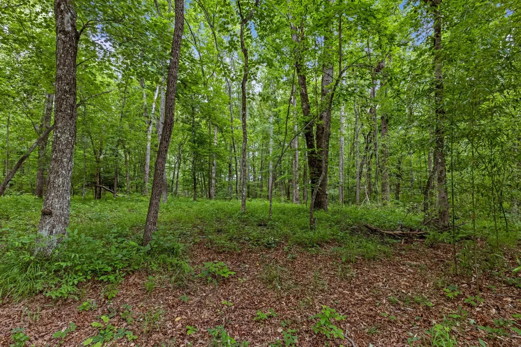 7055 Mooneyham Lonewood Road Spencer TN 38585