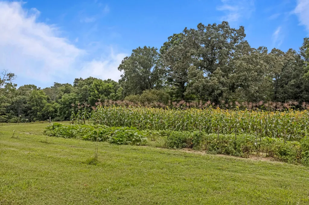 7055 Mooneyham Lonewood Road Spencer TN 38585