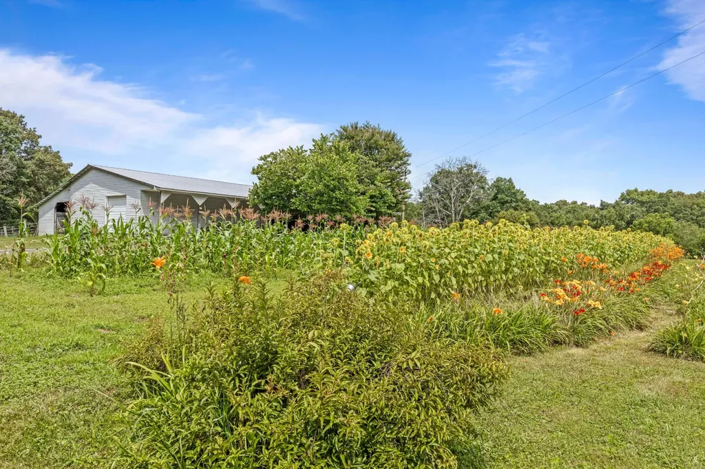 7055 Mooneyham Lonewood Road Spencer TN 38585