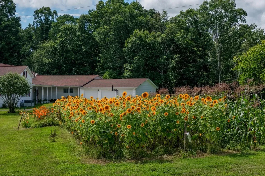 7055 Mooneyham Lonewood Road Spencer TN 38585