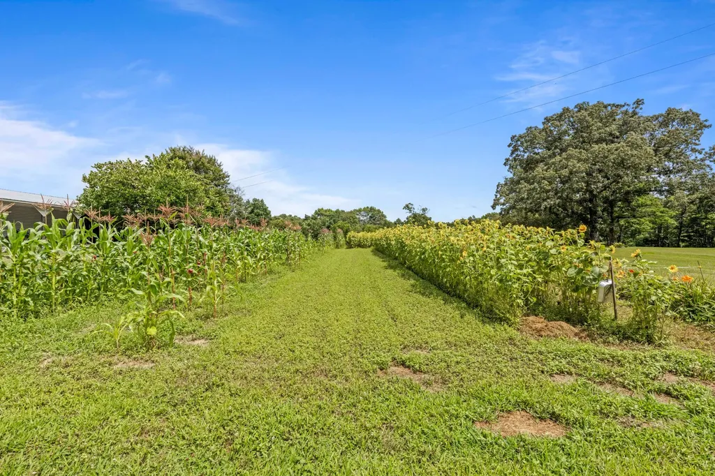 7055 Mooneyham Lonewood Road Spencer TN 38585