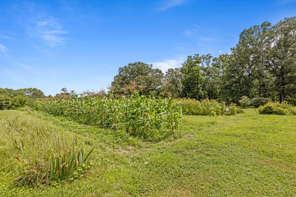 7055 Mooneyham Lonewood Road Spencer TN 38585